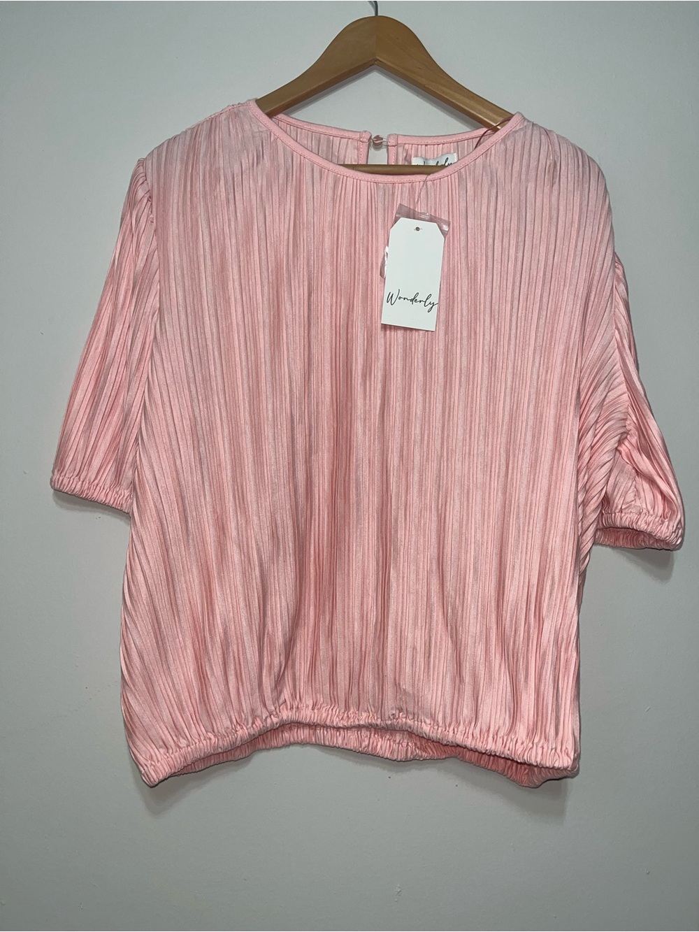 Pretty Pleated Pink Women's Top by Wonderly Brand